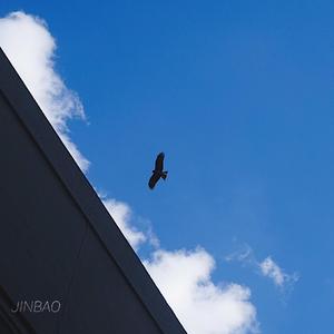 动漫 无尽 大山雀 青少年     妓女
